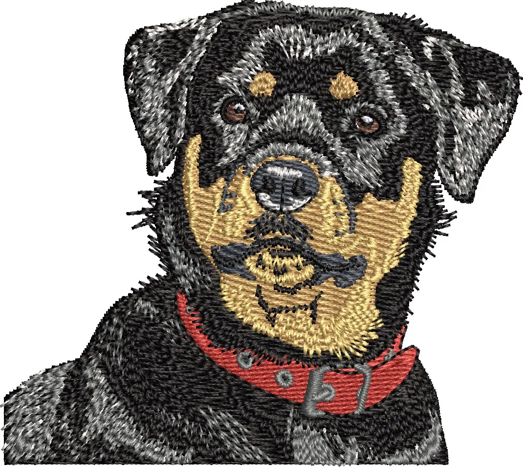 Alternative view of  Rottweiler Dog Embroidered Portrait 