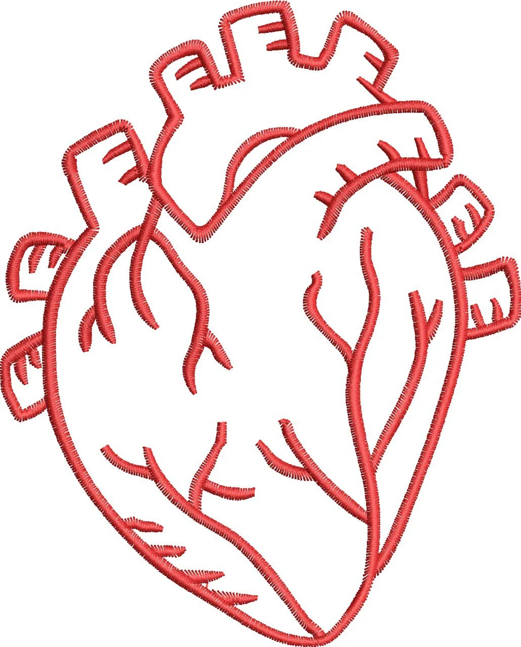  Anatomical Heart Embroidery Outline  embroidery pattern preview