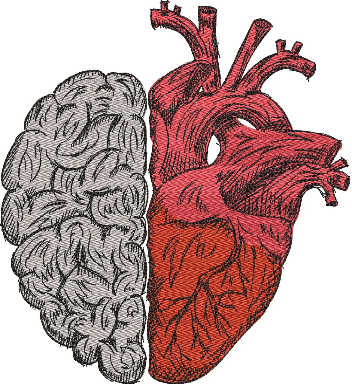  Brain and Heart Split Illustration  embroidery pattern preview
